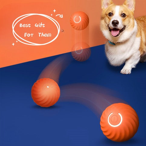 Rubber Ball Dog Toy